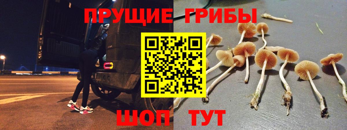 Галлюциногенные грибы Cubensis  Вход с VPN  Трёхгорный  Галлюциногенные грибы MAGIC MUSHROOMS 